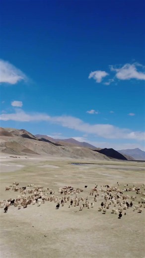 The Raw Magic of Ladakh’s Cold Desert 🏔️✨