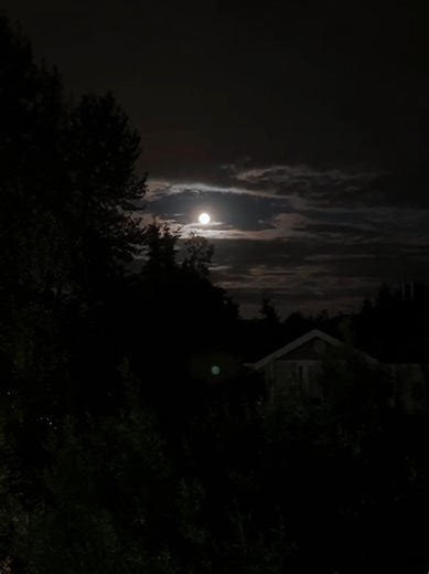 OKINXWX - LOST #рекомендации #wavephonk #musica #fyp