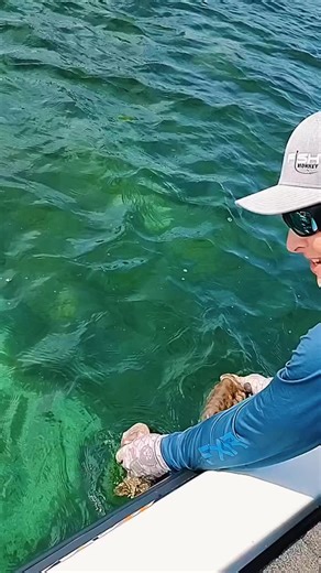 Activate Anchor Mode and fish those beds! #PowerPoleMOVE | @jacobwallfishing The Power-Pole MOVE ZR #PowerPole #smallmouthbass #bassfishing #fishing | Power-Pole Total Boat Control