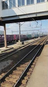 JR貨物 EH800形電気機関車 五稜郭駅 2026/03/20