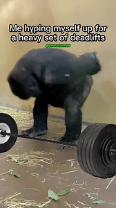 125K views · 1.4K reactions | Light weight baby! 轢 | Gym Fail Nation | Facebook