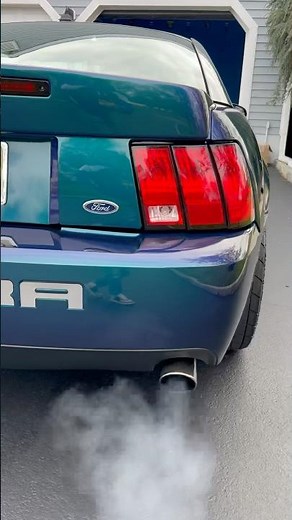 Cammed Cobra Borla Exhaust - The Ultimate Muscle Car #mystichrome #svtcobra #terminator #borla #cams