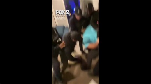 Video shows Detroit police officer punching man in cuffs