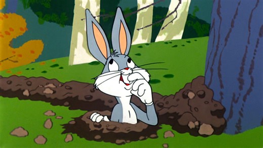 【动画短片】乡野兔踪Backwoods Bunny(1959年)