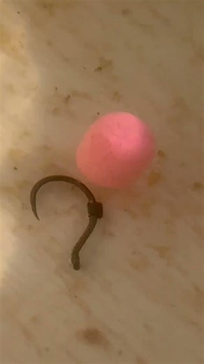Do you check your hookbaits??