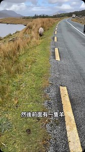 康尼馬拉國家公園！！ 超級美！ 比莫赫懸崖美一百倍… #愛爾蘭自駕 #ireland #翡翠島 | 奶茶團長/走走停停，教學旅行，旅行教學
