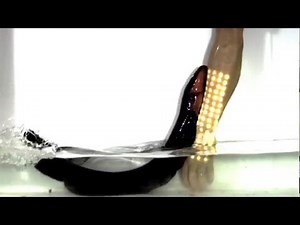 Electric eels leap to shock predator