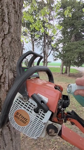 Chainsaw Stuck in Tree: Art Project Success