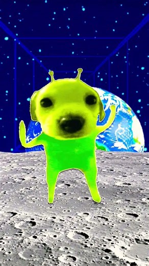 Bruh "I lost that alien ship" it just 🤣🤣🤣