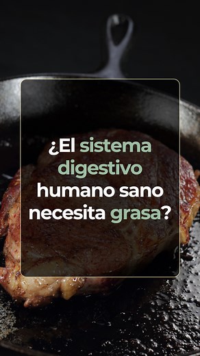 Salud digestiva: programa PAP BÁSICO generación 8