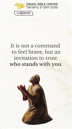 🕊️ “Do not fear.” - One line the Bible repeats for a reason.