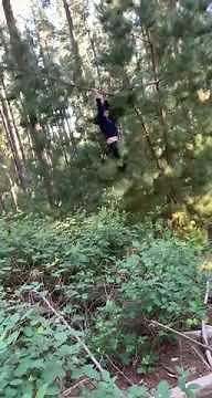 Guy Hanging From Tree Falls Down as Branch Snaps - 1293972