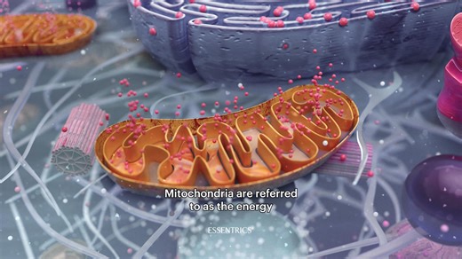 1.4K views | Essentrics is a full-body movement program that awakens every cell to unlock your body’s ENERGY, for every stage of life. ✔ Strength ✔ Flexibility ✔ Energy ✔ Range of Motion ✔ Brain Stimulation ✔ Stress and Tension-relief Transform how your body feels, moves, and heals. Experience our dynamic stretching workout. | Essentrics Workout | Facebook