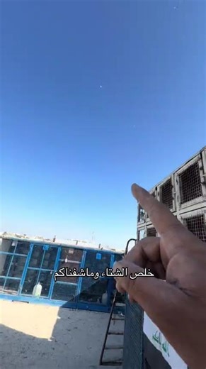 #birds #زافير #pigeon #مطيع #اكسبلور #طيور #حمام #parrot #متابعه #لايك