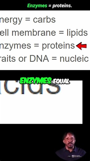 Crush Macromolecules: 4-Line Strategy for Biology! #shorts