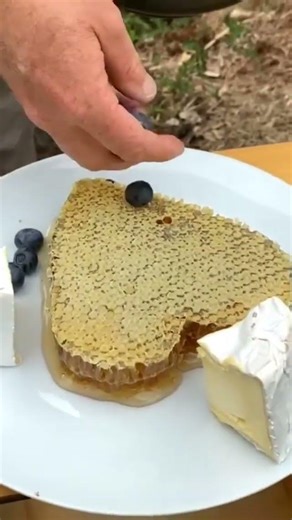 💛 A little love, straight from the hive