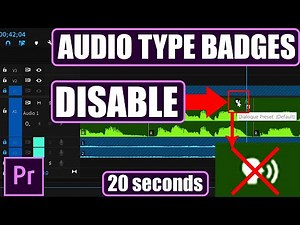 HOW TO DISABLE AUDIO TYPE BADGES PREMIERE PRO