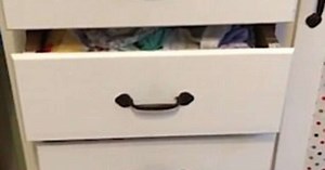 Inexplicably got behind closet, asked for help to get out (Video)