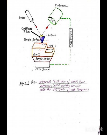 What is Atomic Force Microscopy#WorkingPrinciple#Instrumentations of #AFM#nanotechnology#Notes