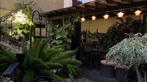 16K views · 1K reactions | A lovely early evening everyone 珞 I love how our lanterns and solar lights illuminated the garden ❤️ | Jo Ann Plastina | Facebook