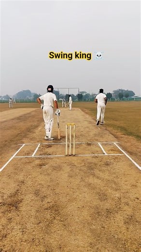 left arm Swing ☠️ #cricket #shorts #lefrarm #bowling #trending #foryou #viral #like