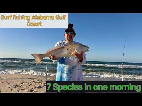 Surf Fishing Alabama Gulf Coast