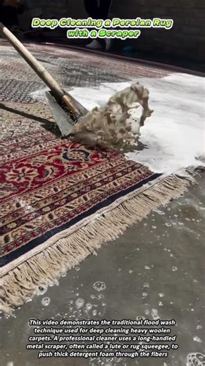 Deep Cleaning a Persian Rug with a Scraper