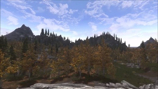 Dense Nordic Forests