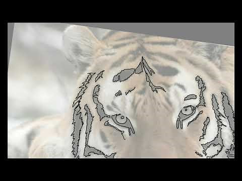 Tiger scroll saw pattern time lapse drawing