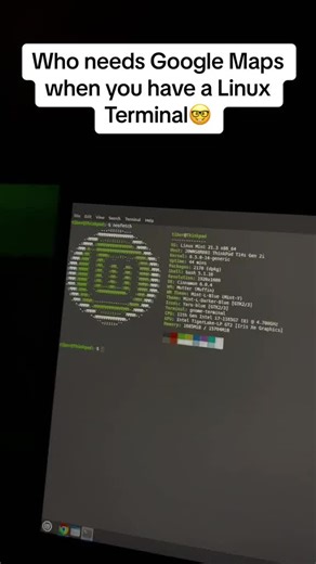 Personaliza tu Linux Mint con Tema Cyberpunk