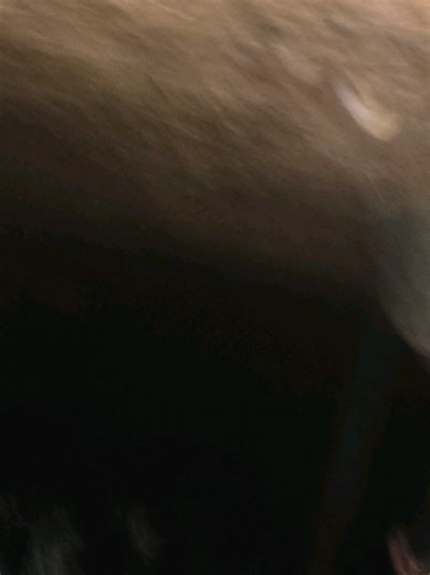 Abby🤍🤍🤍 (@abbys._.playlist)’s videos with som original - ️crz