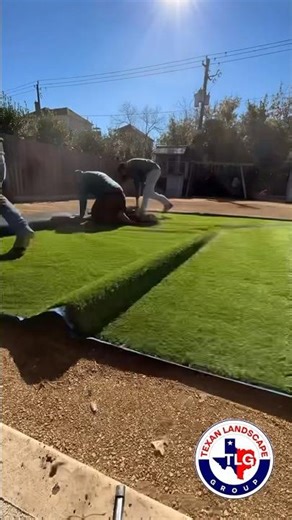 From Dirt to Turf | Backyard Timelapse