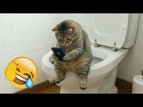 Funniest Animals 2026 😛 Best Moments Ever!🐶