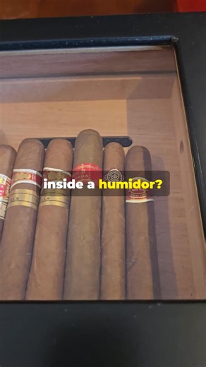 Learn the best places to install your cigar humidifier inside any humidor. Glass top sidewall tray and Cedar divider Solutions explained. | Cigarstar