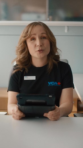 108K views · 354 reactions | Life's greatest companions have some great questions. We answer them… | VCA Canada | Facebook