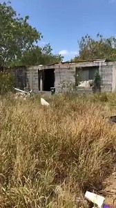 1.9M views · 9.1K reactions | Agente de migración mata a mujer indocumentada de un tiro en la cabeza y desarmada es lo que se relata en el video tomado en vivo hace 2 hr en Laredo Texas... VAMOS HACERLO VIRAL!!! MUCHAS GRACIAS POR AGREGAR MI PÁGINA  | Texas Country Western Boots | Facebook