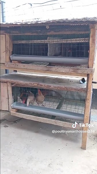 poultry smart houses on TikTok
