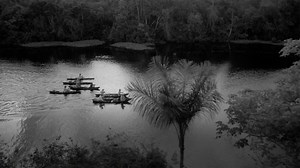 Into The Amazon: American Experience - Twin Cities PBS