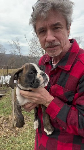 Crate Training a Boxer Puppy: Essential Tips for Success