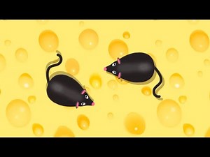 CAT GAMES - Catching Mice! Entertainment Video for Cats to Watch (1 hour version)