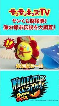 サメがいる海で都市伝説を調査した結果...！？くじらアタック&Co.・子供向け知育教育 ★サンサンキッズTV★ #shorts #切り抜き