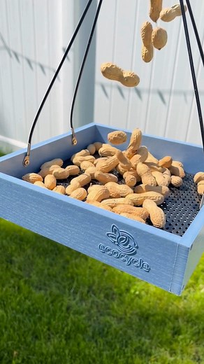 16K views · 106 reactions |  Your birding journey starts here and...