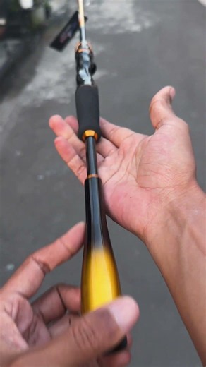 Medium light action 7-15 lbs, solid carbon. Batrix Ruby fishing rod.