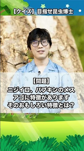 ニジイロクワガタ、パプアキンイロクワガタのメスは、アゴにおもしろい特徴があります。そのおもしろい特徴とは？｜【クイズ】目指せ昆虫博士！#カブトムシ #クワガタ #クワカブ #昆虫 #飼育方法 #初心者