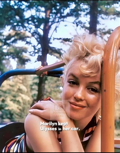 Marilyn Monroe Reading James Joyce’s Ulysses The Untold Story Behind the Iconic 1955 Photo | Founding Lens