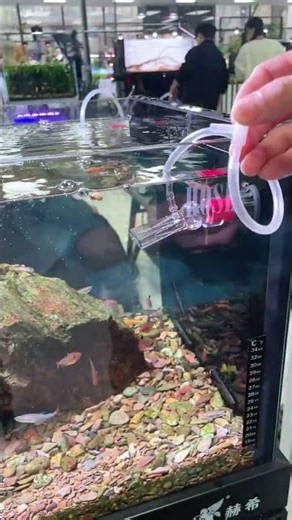 Insert a tube into the duckbill opening to solve the oxygenation problem. #aquascapegallery #aquasis