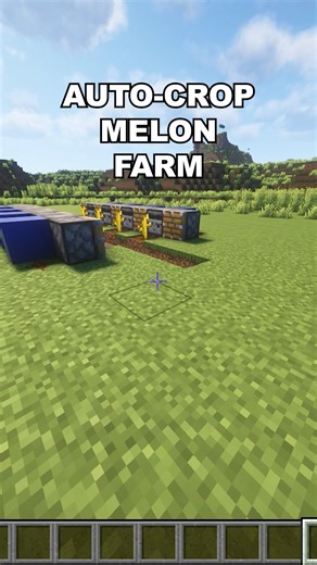 Lida on Instagram: "AUTO-CRAP MELON FARM"