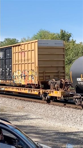 Boxcar On A Flatcar, Ever Seen This Before?! Norfolk Southern Railroad, JawTooth shorts