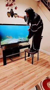 Funny animal compilation. ⚠️No animals were hurt during the making of this video⚠️ #animallovers #funny #reelsfb #trending #viralreels #funnyanimals | Thetimingwizard