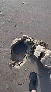 3.1K views · 81 reactions | Finding Gold and Diamonds at the beach while metal detecting with a Minelab Equinox 800 metal detector and using little Garrett pinpointer AT trying to find some treasure #minelabequinox800 #foryou #metaldetecting | Thebeachz | Facebook